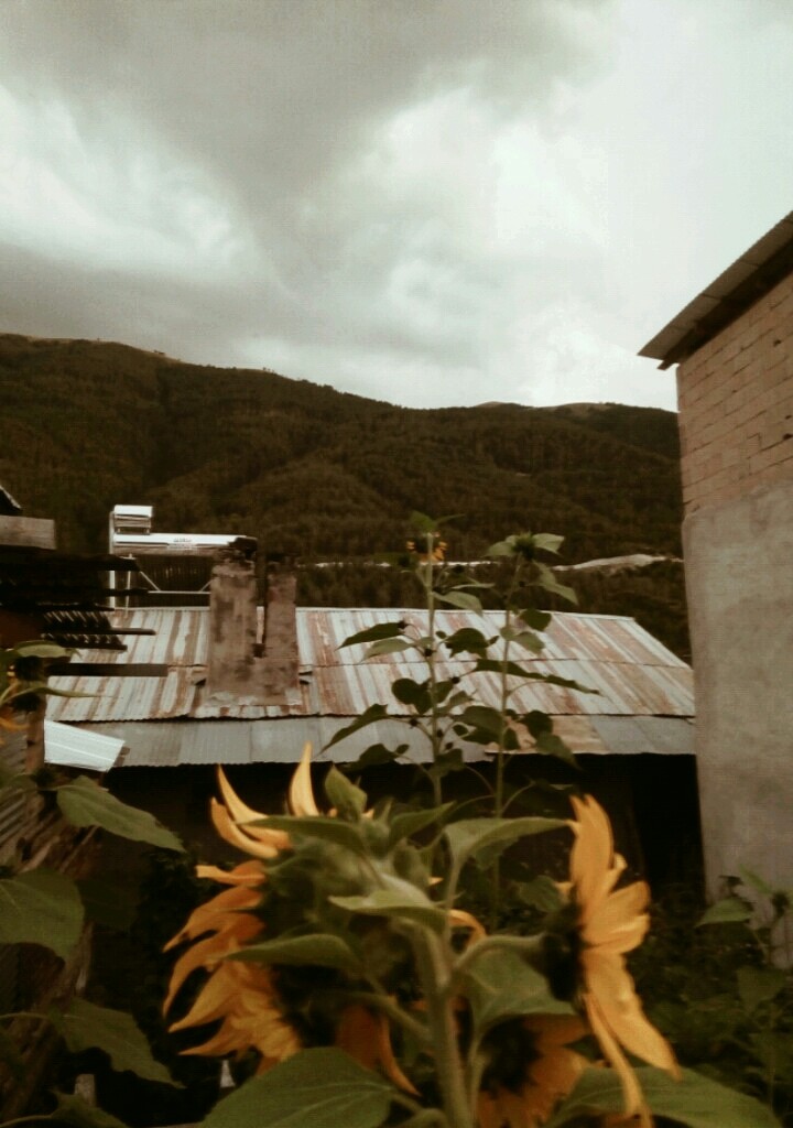 #erzurum