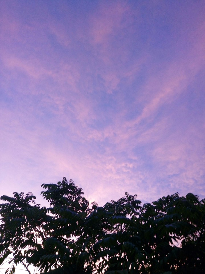 Lilac