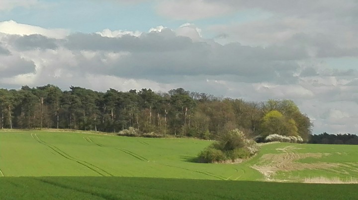 cudne manowce