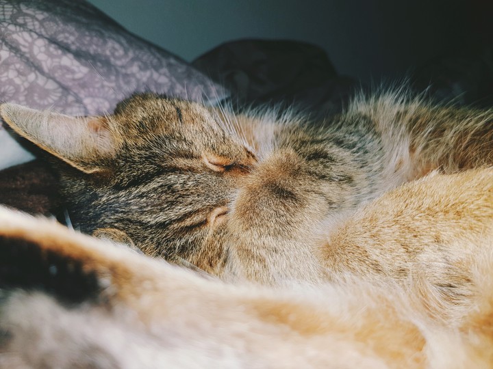 kuschellig und warm