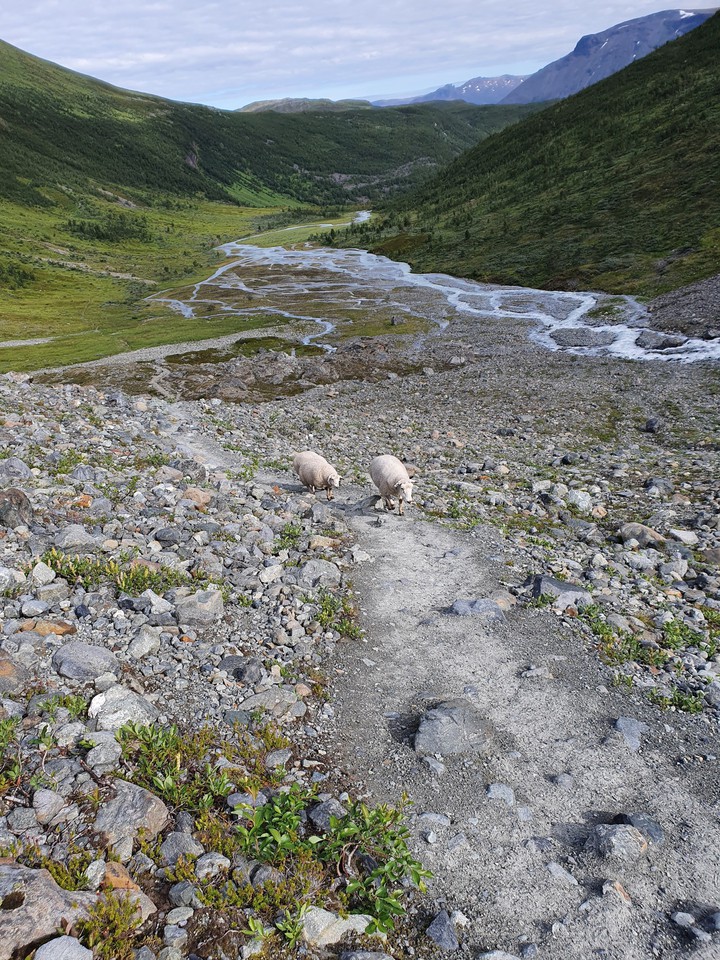 Steindalsbreen, Norway