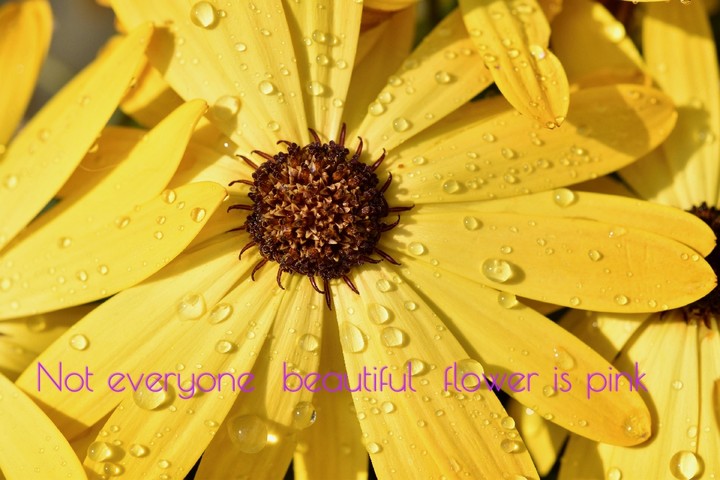 flower