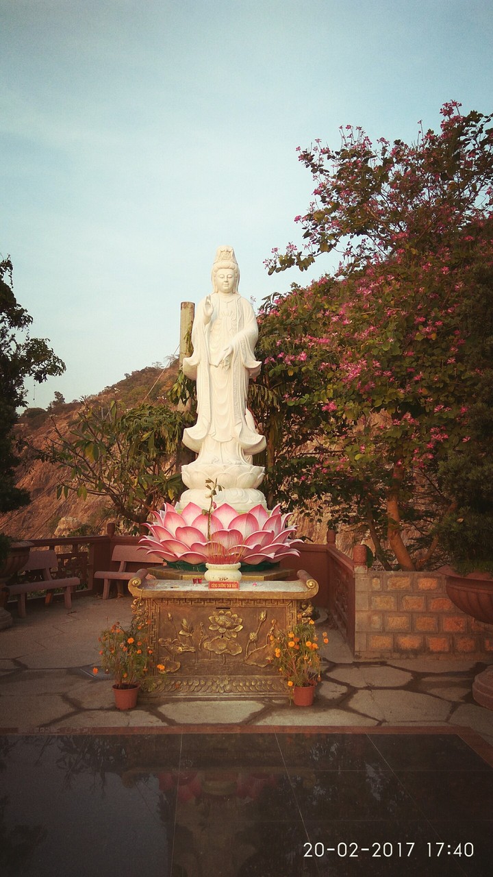 Namo Avalokitesvara Buddha