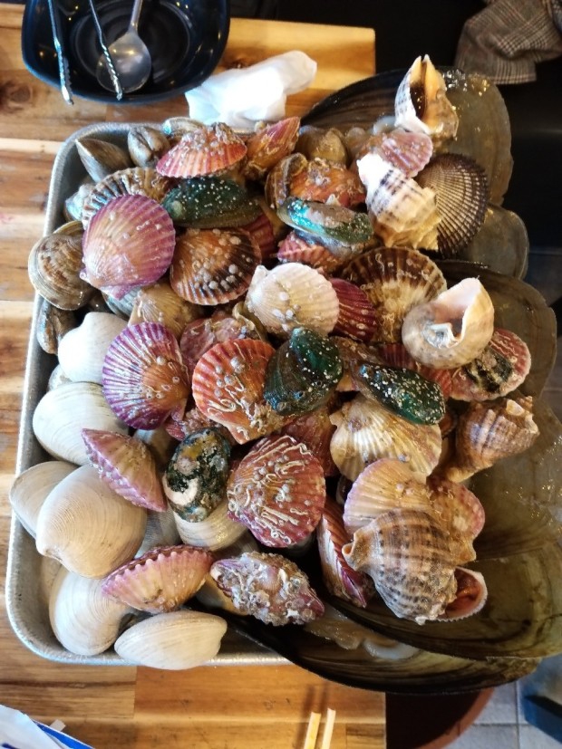 shells
