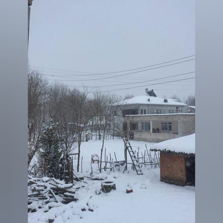 kış