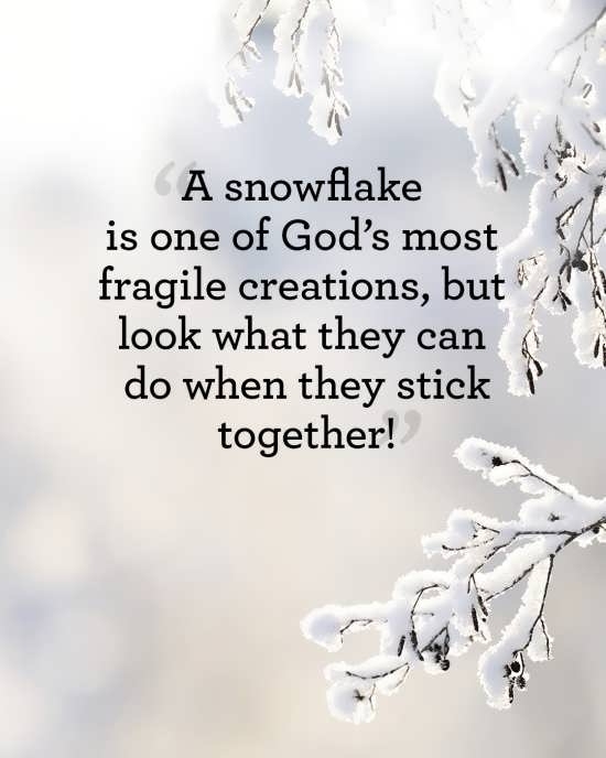 snow flake...