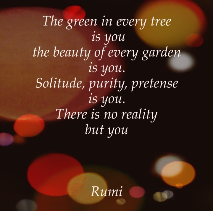 Rumi