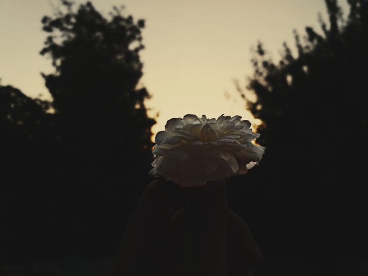 photo by Harsieva Hava