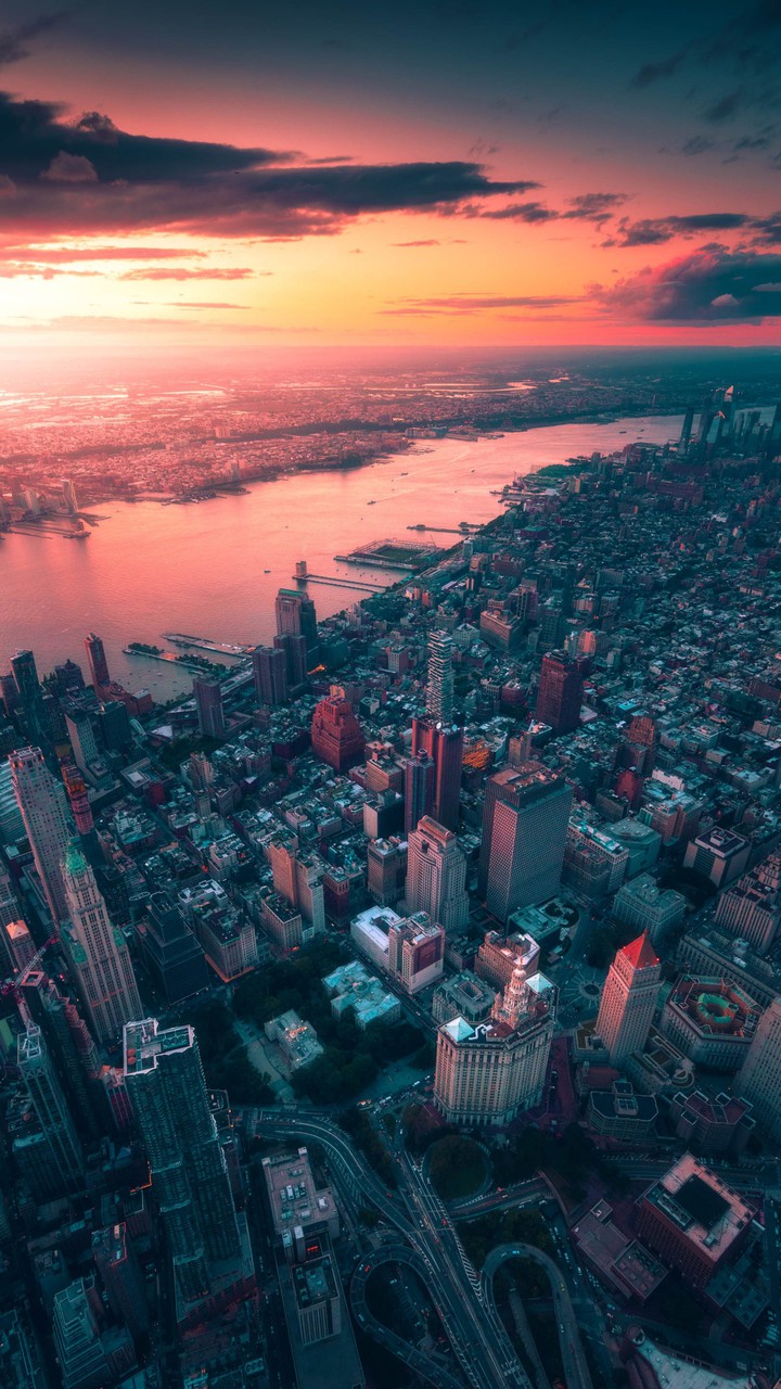 Concrete Jungle