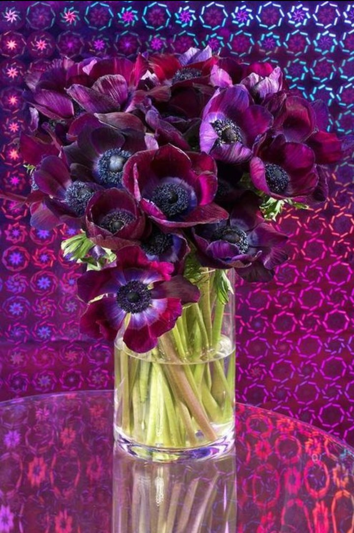 bouqet & anemone