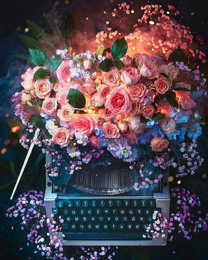 ✳➿✳