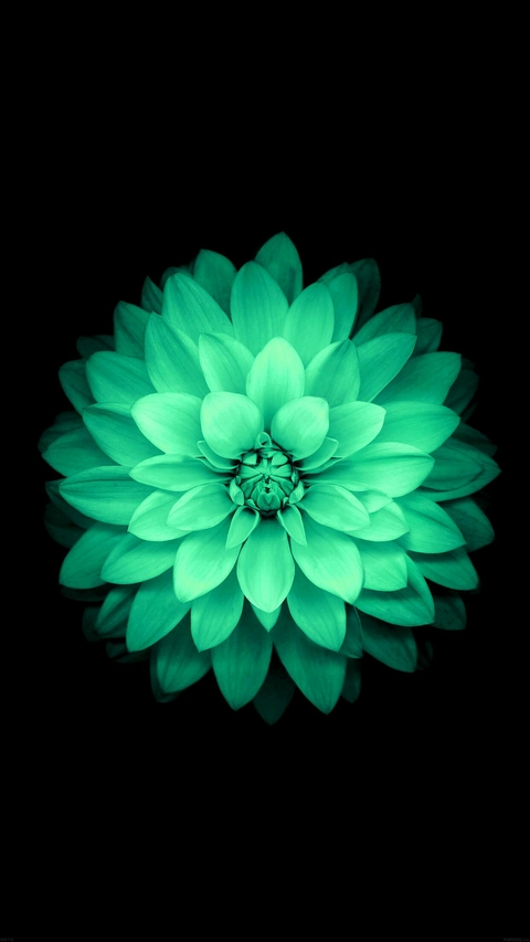 Flor Verde