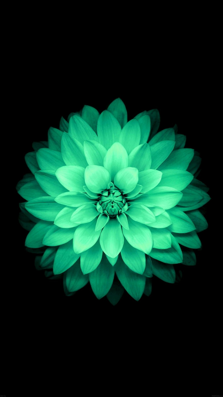 Flor Verde