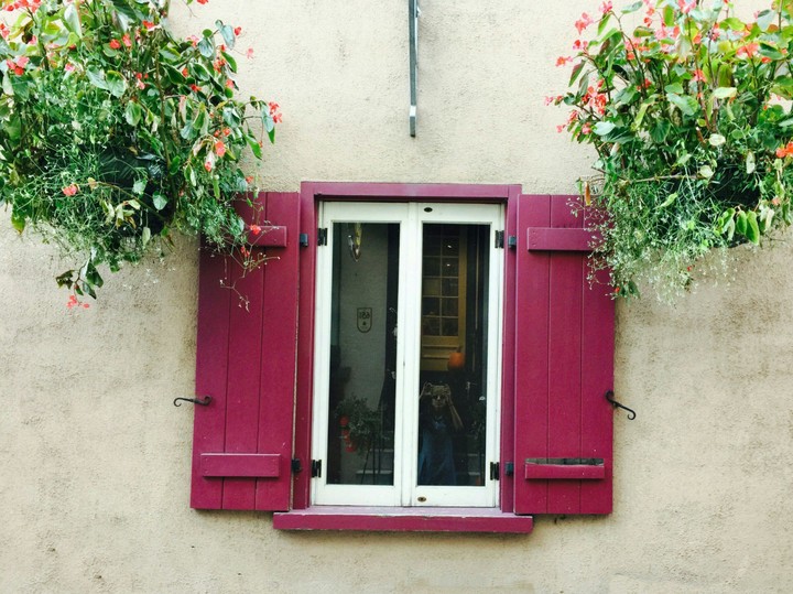 pink window