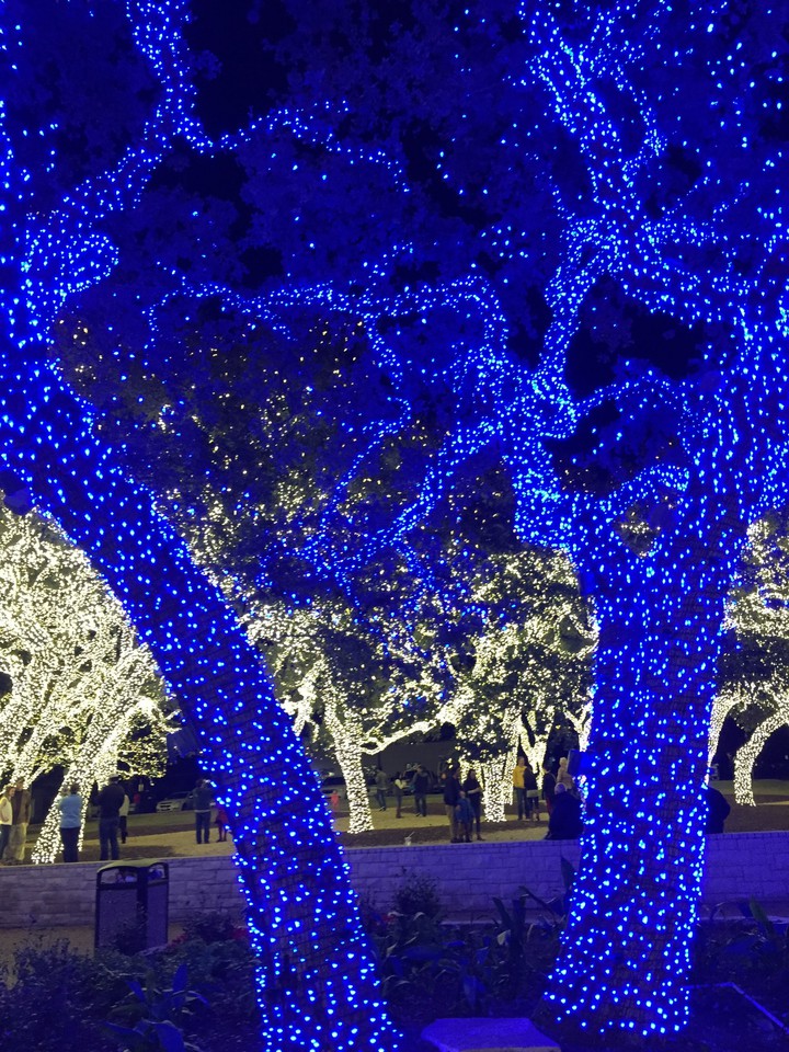 Christmas Lights