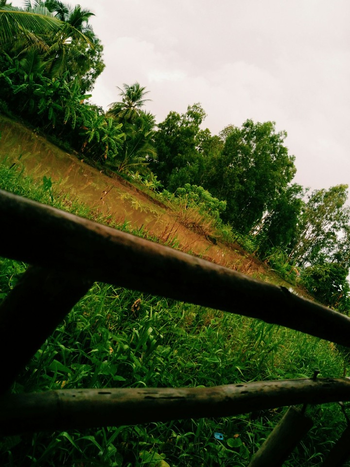 Countryside in Kiengiang, Vietnam.❤