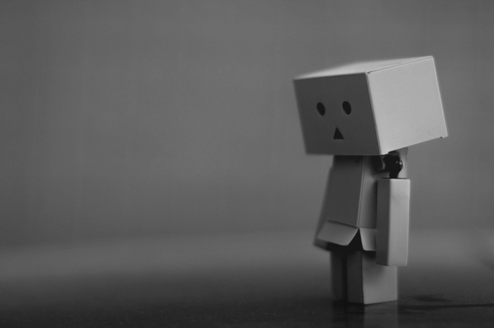 danbo