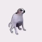 nigga