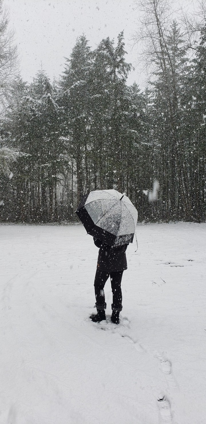 watch the snow fall