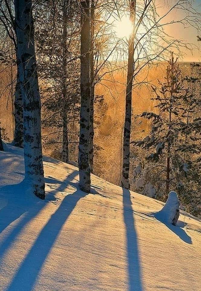 Nature
