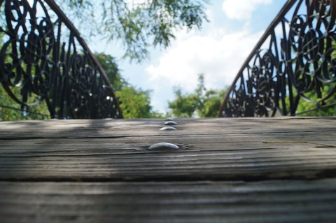 The bridge