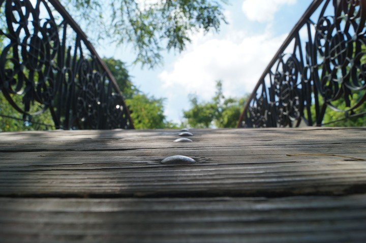 The bridge