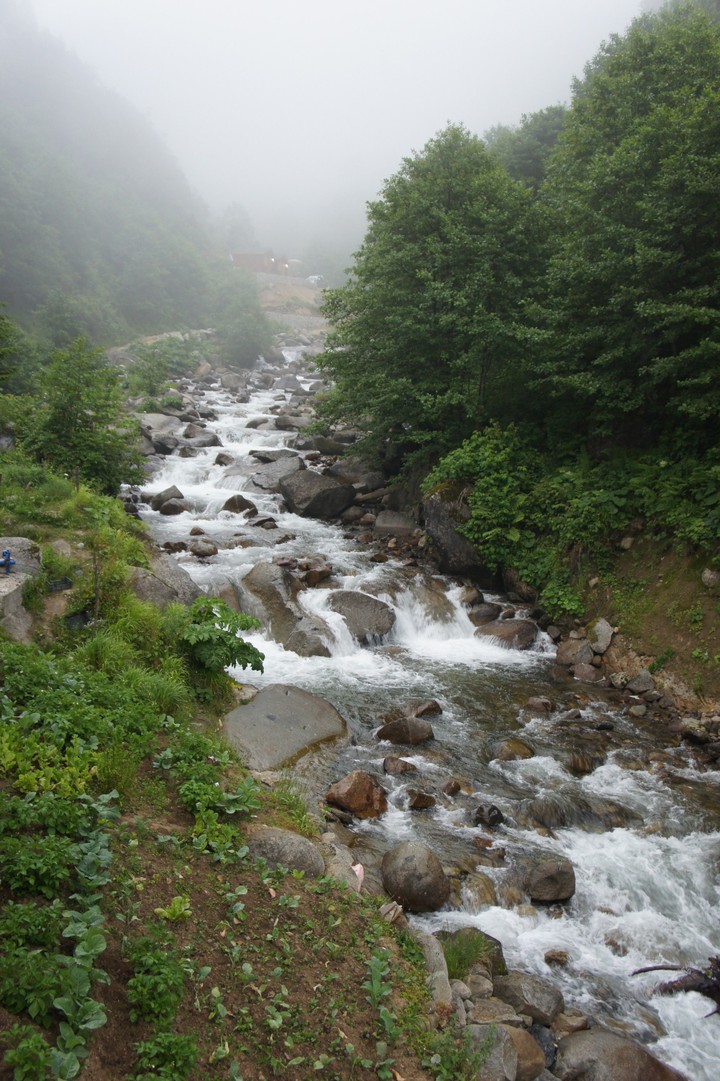 Twin creeks