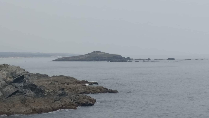 ilha do pessegueiro