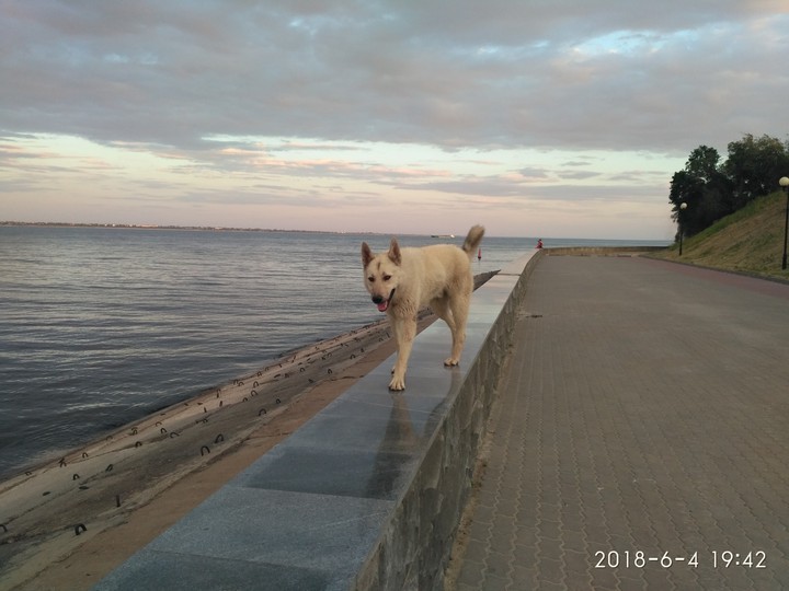 Волга