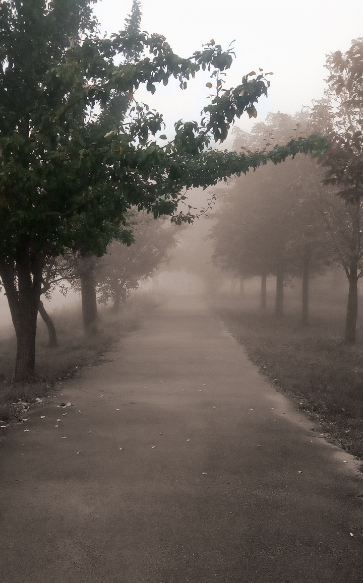 fog
