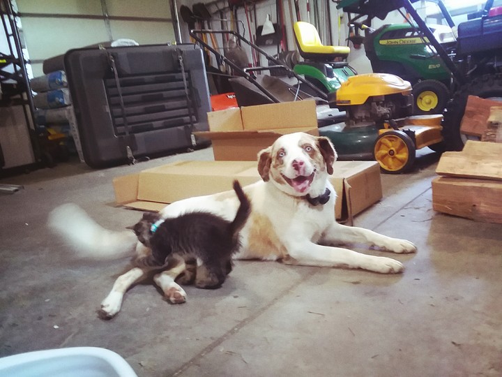 Don't worry, she's friendly!