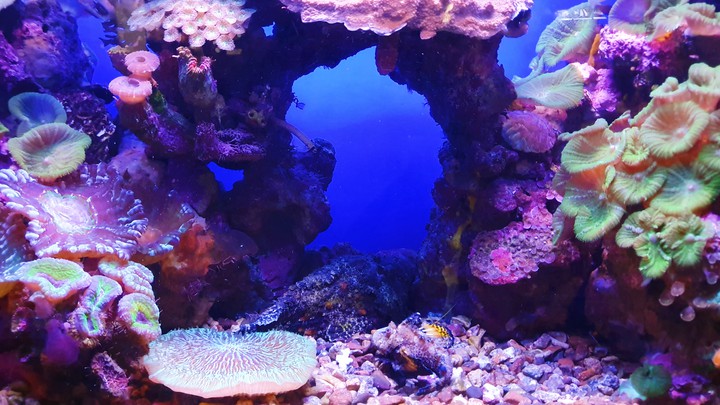 Under water