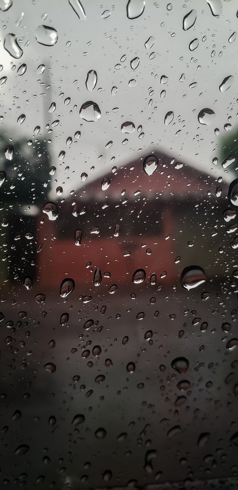 gotas