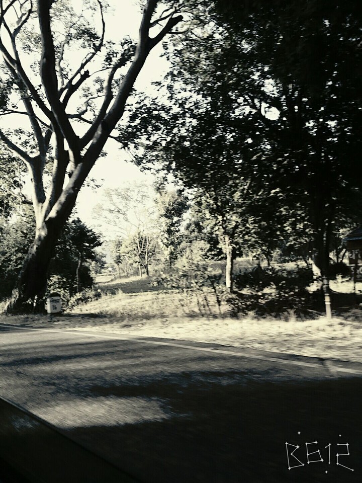 Scene