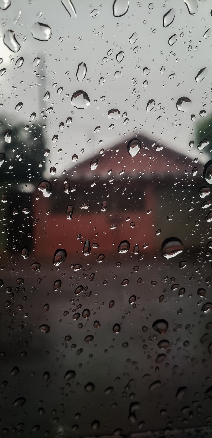 gotas