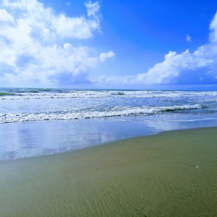 Paradise