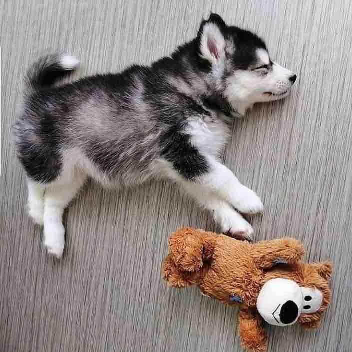 cute