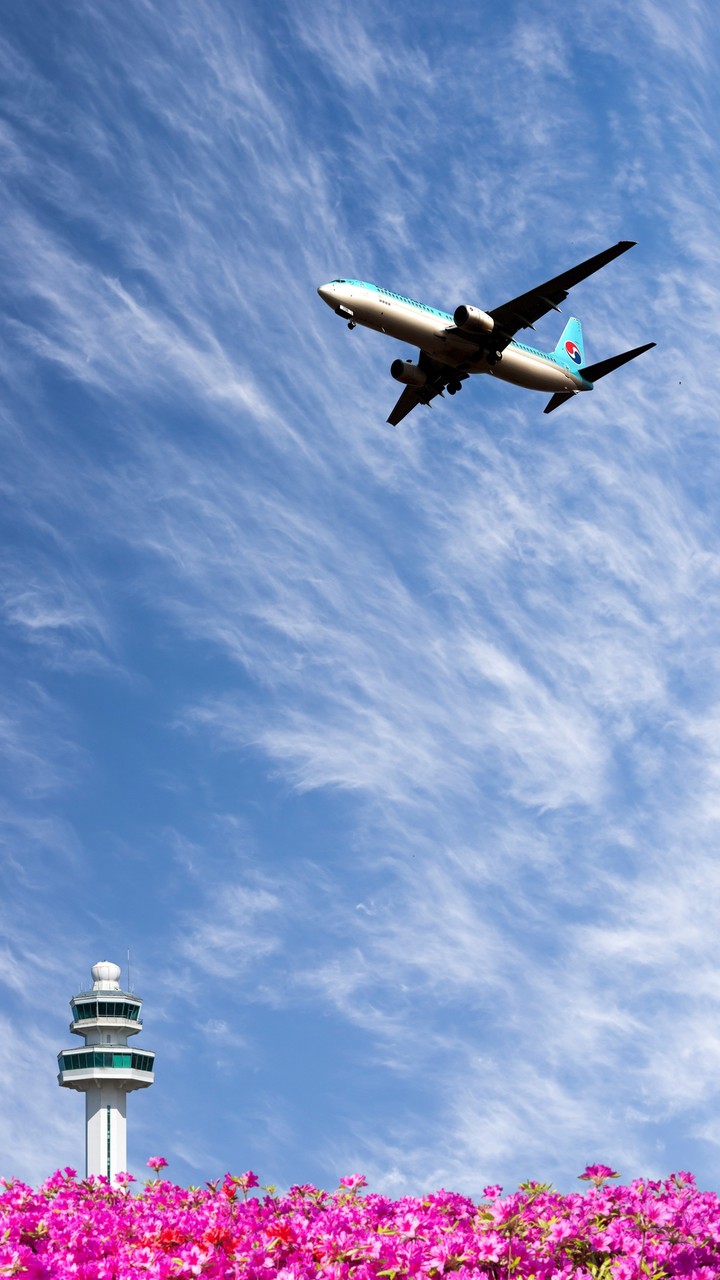 Flying