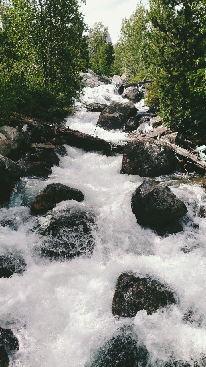 flowing creek