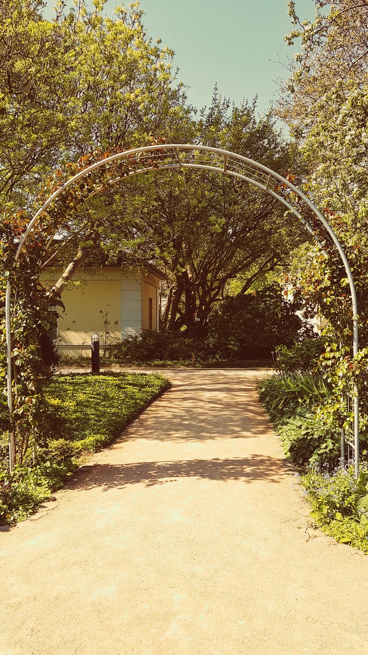 the arc
