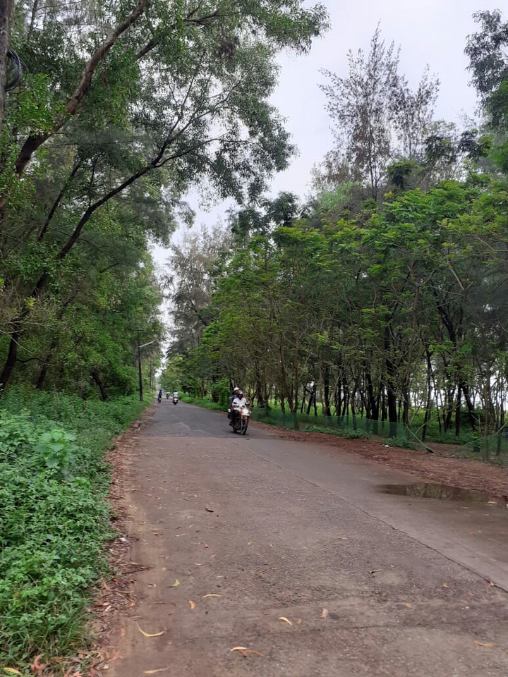 Roads