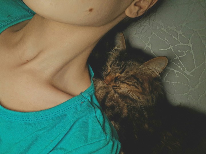 Kitty