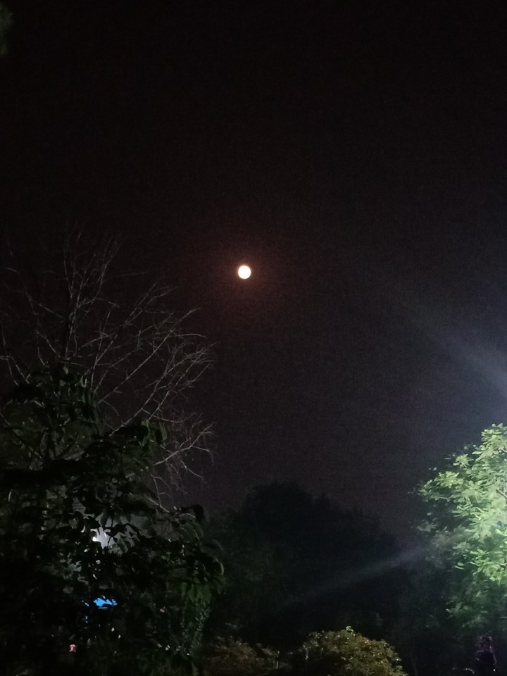 Moon