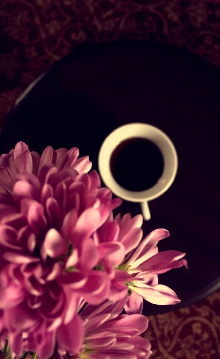 coffee ☕️