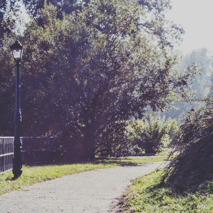 Path