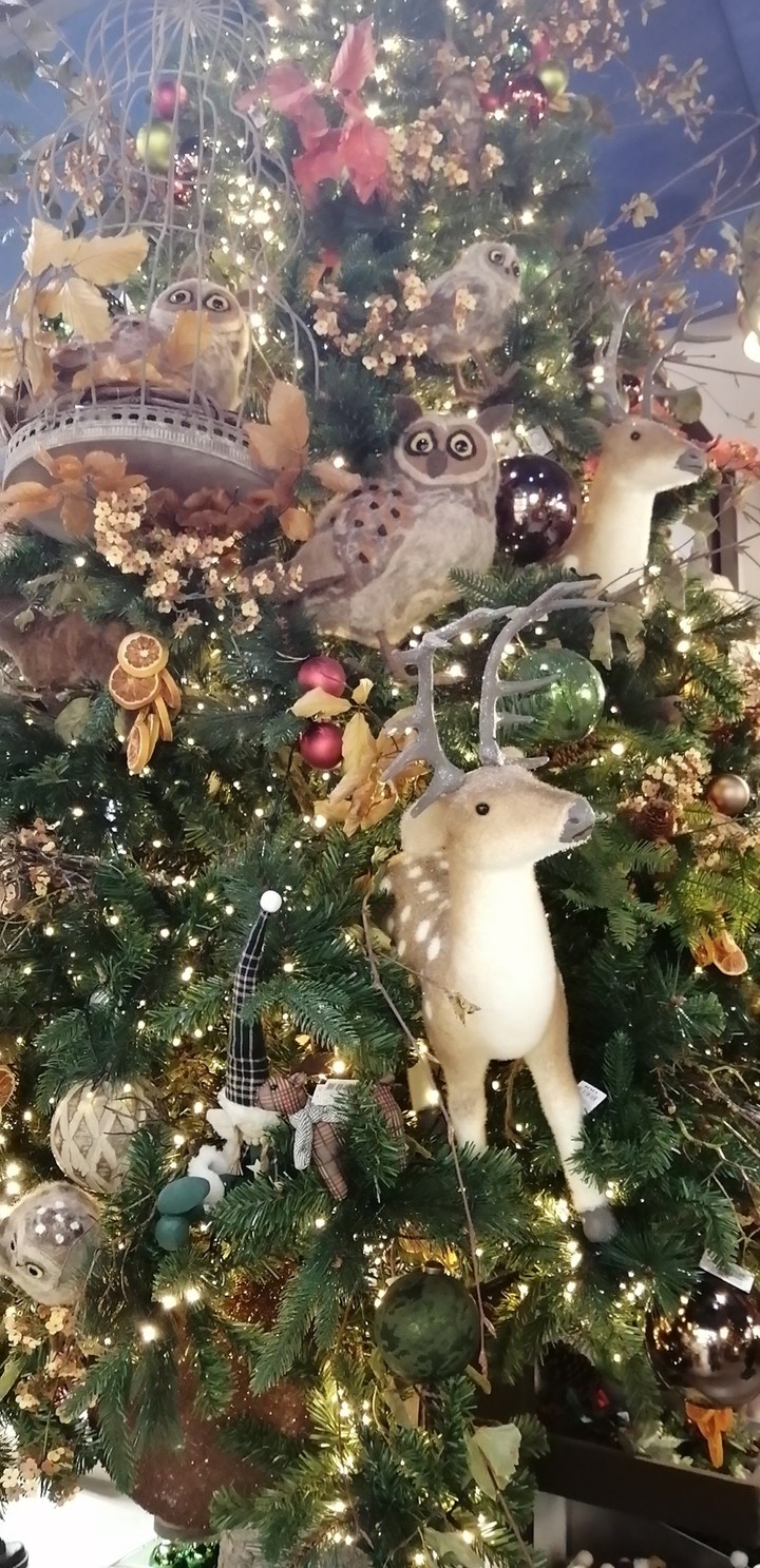 Wild Christmas