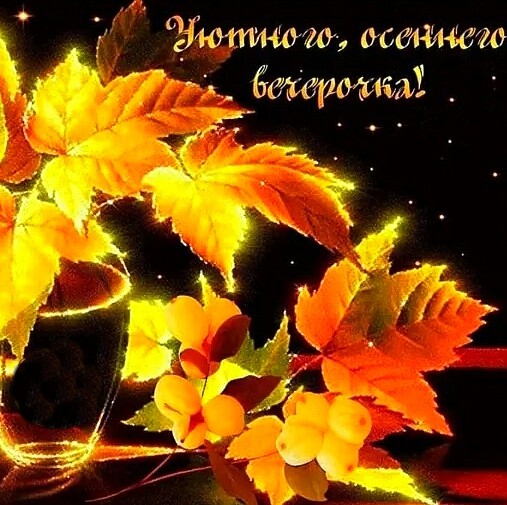 Good evening my dear friends