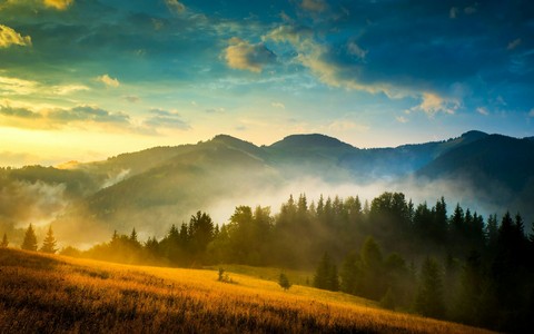 nature landscape