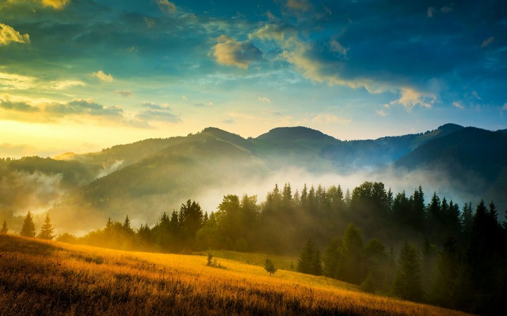 nature landscape