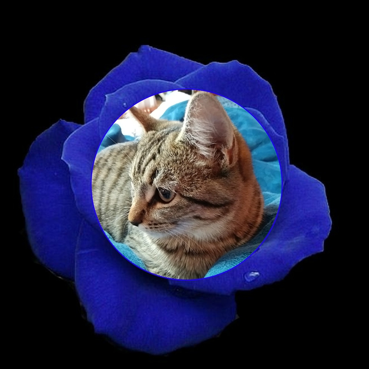 Jewel